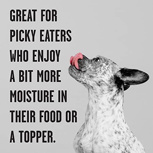 bixbi rawbble grain-free canned wet dog food lamb recipe 125 oz cans pack of 12