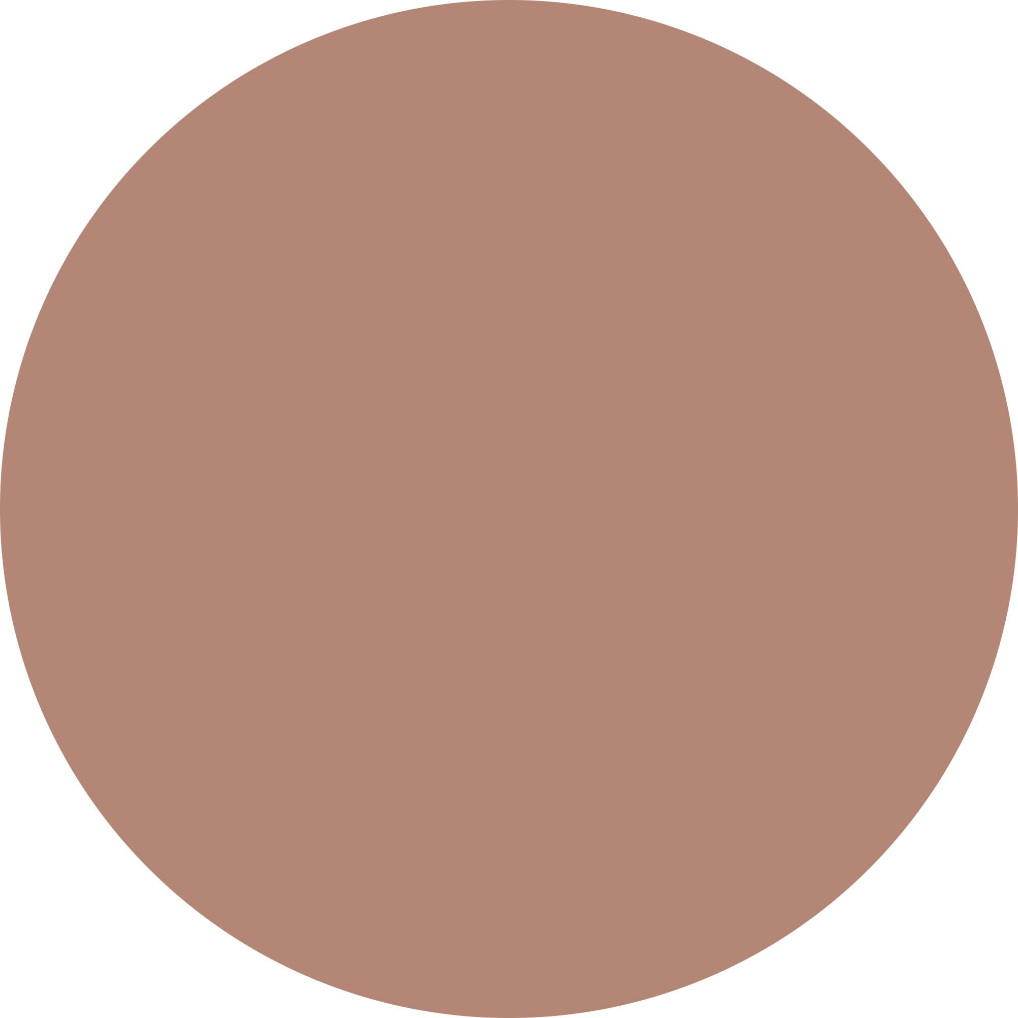 WYCON cosmetics BRONZING POWDER maxi terra abbronzante compatta specifica per scolpire il viso (103 dark)