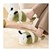 Baiyuruodie Adorable and Fashionable Animal Slippers,Women's slippers ，Non-slip Sole and Warm(Green, Adult, Women, 8.5, Numeric Range, US Footwear Size System, 9, Medium)