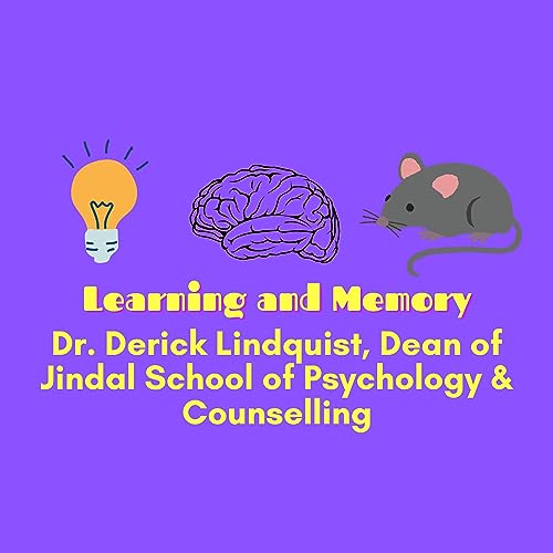 How Memory and Learning Works | Derick Lindquist