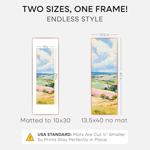 Image of Homeforia 13.5x40 Rose Gold Picture Frame, High End Metal 13.5x40 Panoramic Poster Frames with Mat 10x30 Photo, 13.5 x 40 Frame Matted to 10 x 30 Art, 40x13.5 Frame, Tempered Glass, Wall Kit, Set of 1