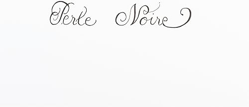 Miniatura 6 de Tinta para pluma estilográfica Herbin - Botella de 10 ml - Perle Noire