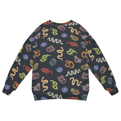Wusikd Snake Boy Girl Sweatshirt Toddler Crewneck Animal Pullover Sweater Long Sleeve Clothes 5T Multi2