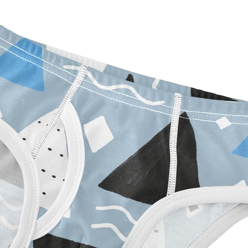 GuoChe Briefs for Boys Cotton in Sizes 2T,3T, 4T, 5T, 6Y and 8Y4