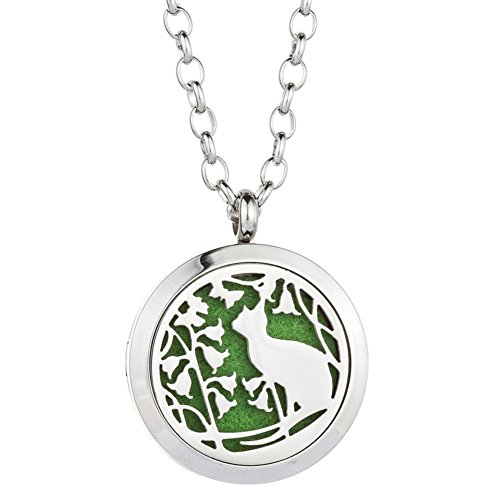 GelConnie Cat Essential Oil Diffuser Necklace Animal Perfume Pendant Stainless Steel Aromatherapy Locket for Women, Wife CSFL365-1-1