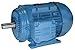 WEG 00436ET3YAL112M W21 IE3 IEC Tru-Metric TEFC (IP55) Multi-Mounting Aluminum Frame Electric Motor, 5.5 HP, 3-Phase, 3505 rpm, 460 V, 60 Hz, Frame 112M