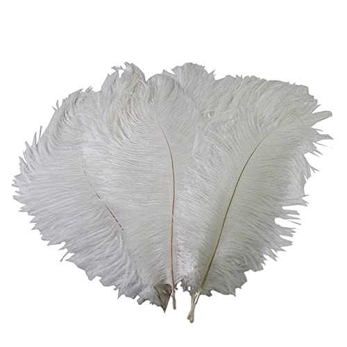 KERALI Decoraciones de jarrón, decoración de sombreros de ropa, 10 plumas naturales, plumas de color ciruela, plumas para bodas, centros de mesa de boda, arreglos florales, manualidades