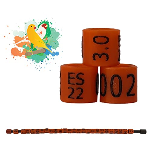 46 los mejores anillas para palomas en 2022 [según 432 expertos