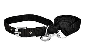 PSK PET MART Premium Strong Nylon Everyday Dog Collar Leash Set Color-Black Extra Small