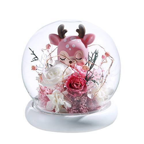 ANLUNOB Rosa encantada Elegante Cubierta Redonda de Vidrio con Base de luz LED Blanca, decoración del hogar para Regalos de San Valentín, Bodas, Aniversarios, Regalos del día de la Madre Cover