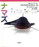 605円「育てて、しらべる 日本の生きものずかん 12 ナマズ (育てて、しらべる日本の生きものずかん)」