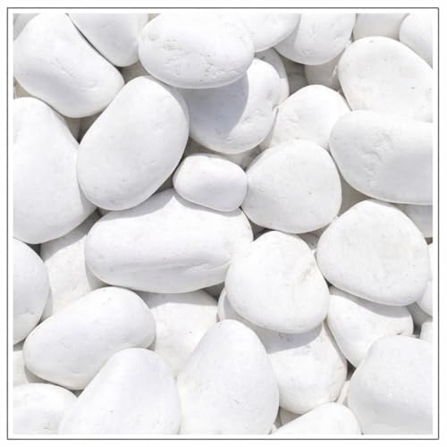 V-PREMIUM SOLUTION Galets blancs 10 kg - Pierres décoratives blanches neige pour décoration de jardin, chemins, pots de fleurs et intérieur - 3-6 cm -...
