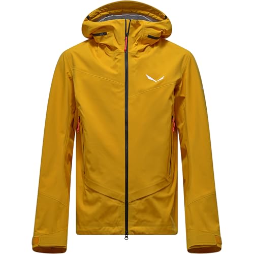 Salewa Homme Ortles GTX 3L EPE Veste imperméable et coupe-vent extrême
