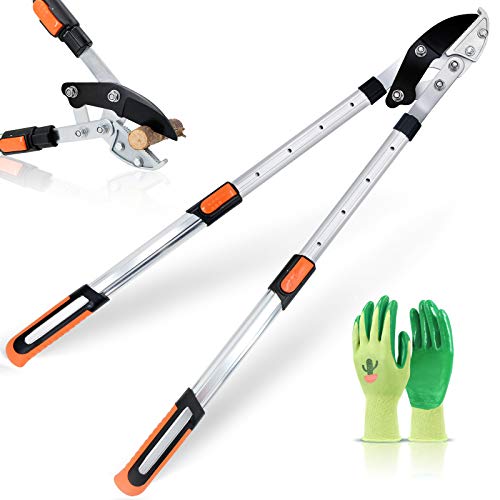 Best Anvil Loppers of 2024 Homeer