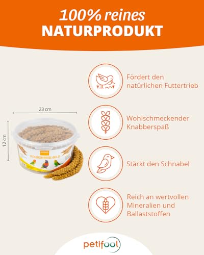 Kolbenhirse gelb 500g - Einzelfuttermittel für alle Ziervögel - Vogelfutter - 100% Natur – Bild 3