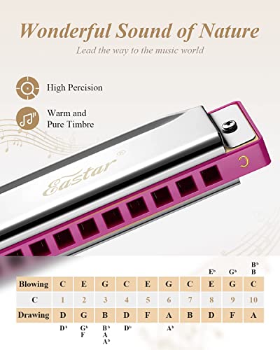Eastar Major Blues Harmonica Diatonique, 10 Trous C Key Débutant Harmonica pour Enfants Enfants Adultes Étudiants, avec… - Les Beatles, Paul McCartney, John Lennon, RIngo Starr, George Harrison Eastar Major Blues Harmonica Diatonique, 10 Trous C Key Débutant Harmonica pour Enfants Enfants Adultes Étudiants, avec… – Image 3