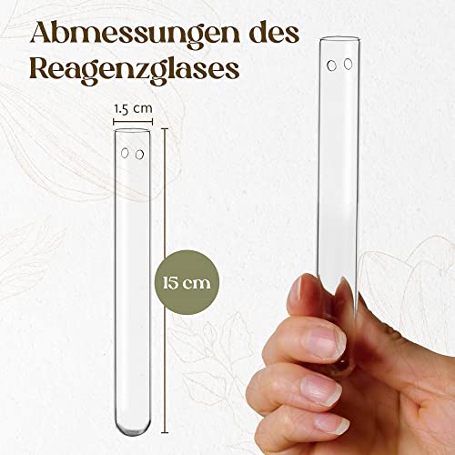 12 reageerbuizen voor het ophangen van bloemen, reageerbuisjes met gat om op te hangen, raamdecoratie, hangend, bruiloftsdecoratie, tulpenvaas, glas, bloemenvazen, hangvaas glas (15 cm) - Afbeelding 8