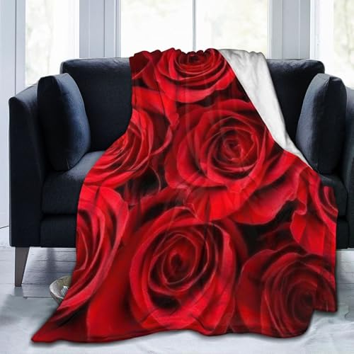 o KN  ѕz Aj Ђ| y  uPbg tl 􂦂 ÓdCh~ g _炩 Ȃ߂炩ȔG lGKp 킢 ObY LN^[ 125cm×150cm