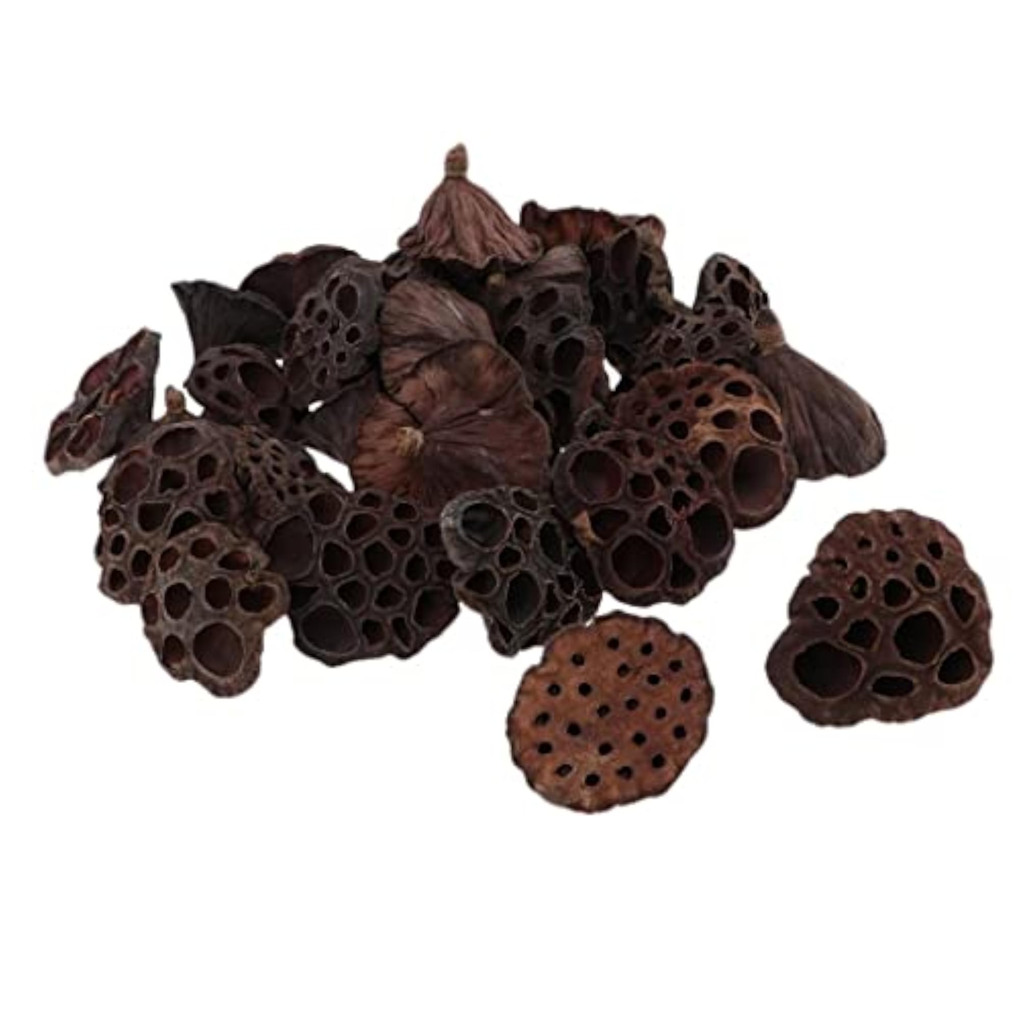 Natural Dried Lotus Flowers, 150PCS for Crafts