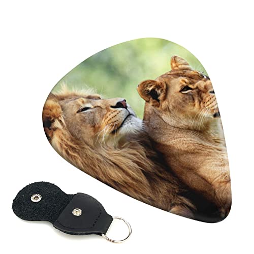 M^[sbN 6Zbg 0.46mm 0.71mm 0.96mm GLM^[ x[XpsbN EN M^[ ABSf GNgbN AR[XeBbN y S gCAO sbNi q̃Jbv j