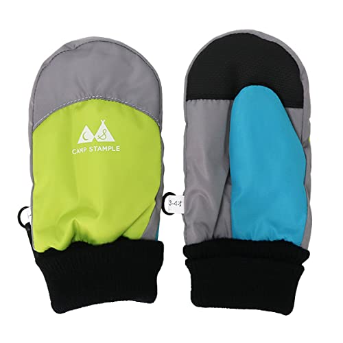 [X^v]  EC^[O[u XL[O[u Xm[O[u ~g V XYZ(C XS(1-2))