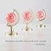 12 Pieces Fillable Mini Round Gold Plated Earth and World shaped Globe Party Favors (Assembly Required)