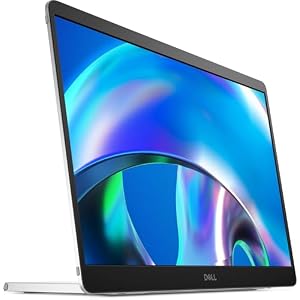 Dell Pro Plus P1425・LED-Monitor・35.57 cm (14") (210-BQTB)