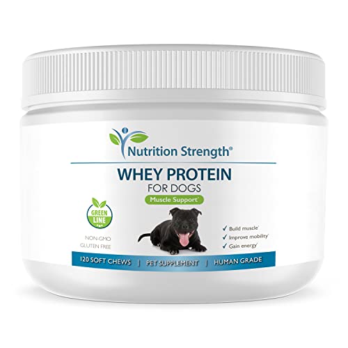Find The Best Muscle Gainer For Dogs Reviews & Comparison Katynel