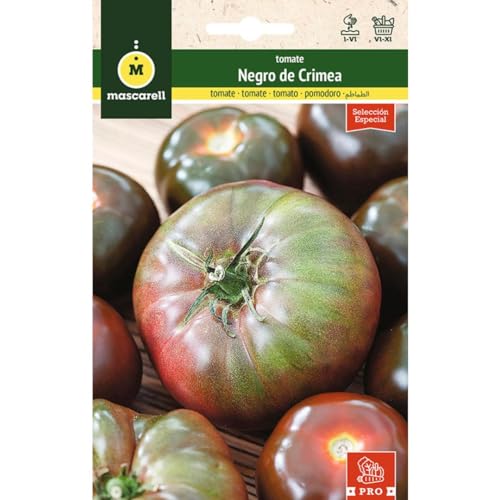 Mascarell Semillas, TOMATE, Semillas Huerto, TOMATE NEGRO DE CRIMEA, Crea tu Propio Huerto Urbano y Cultivo en Casa, Plantas Hortícolas, 0,2 Gramos