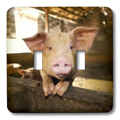 Interrupteur double à bascule porc Bali Indonésie par Micah Wright