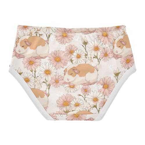 Wusikd Cute Guinea Pigs Girls' Underwear Cotton Girls Briefs Soft Toddler Underwear 2T2