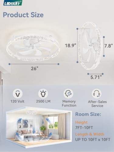 Image of LEDIARY 26 Inch Ceiling Fans with Lights White