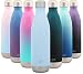 Simple Modern Stainless Steel Vacuum Insulated Double-Walled Wave Bottle, 25oz - Robin's Egg Blue