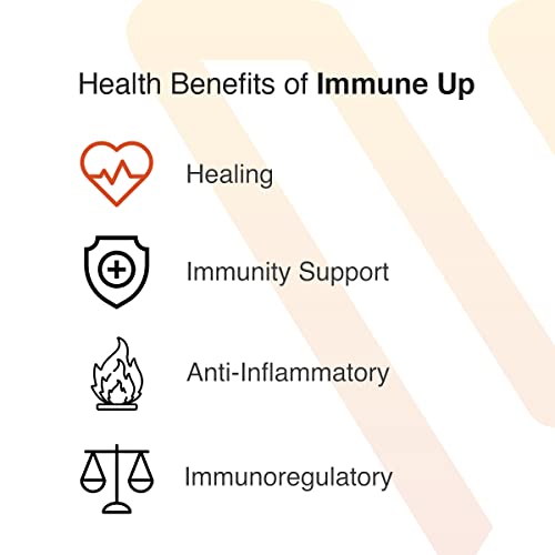Image of Vatellia Life Immune Up High-Absorption Vitamin C, D3, A + Zinc | Immune Support | Improve Cellular Health | Microbial Defense | 120 Capsules (60 Day Supply)