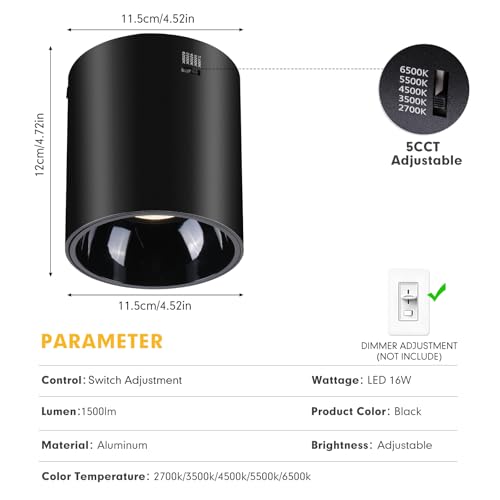 Image of Ceiling Spot Lights Indoor 5-Color Dimmable Flush Mount Black Cylinder Down Light Modern LED Ceiling Light for Living Room Hallway Kitchen Dining Room Foyer