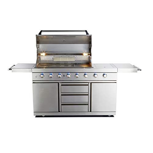 Allgrill Top-Line Ultra Deluxe 304 - Barbacoa de gas (acero inoxidable)