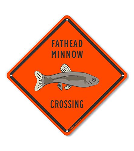 Panneau plastique Fathead Minnow Crossing de signalisation orange 25,4 cm