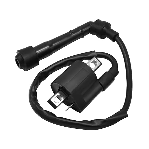 Wai Danie Bobina di accensione Per Moto Compatibile con Yamaha Grizzly Raptor Rhino 660 YFM 350 YFM400 YFM660 2002-2008 Big Bear 400 Ricambi ATV