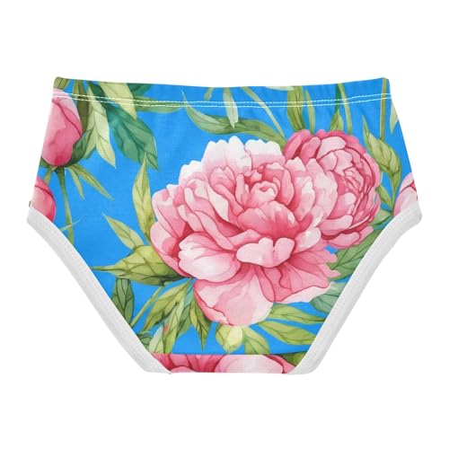 Watercolor Pink Peonies Floral Blue Cute Panties Girl Toddler Girls Underwear Cotton Fun Briefs Girls Undies 2t2