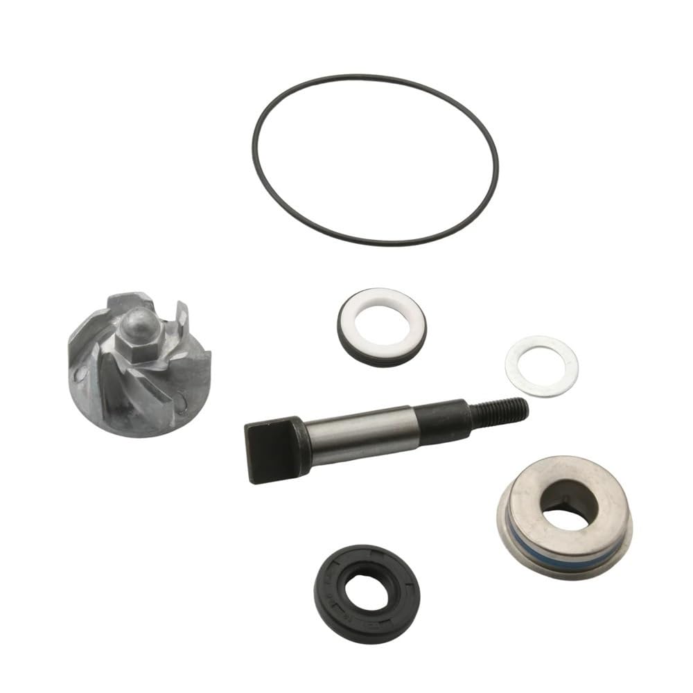 Pompe à Eau SH300 Forza300 NSS300 pour Honda