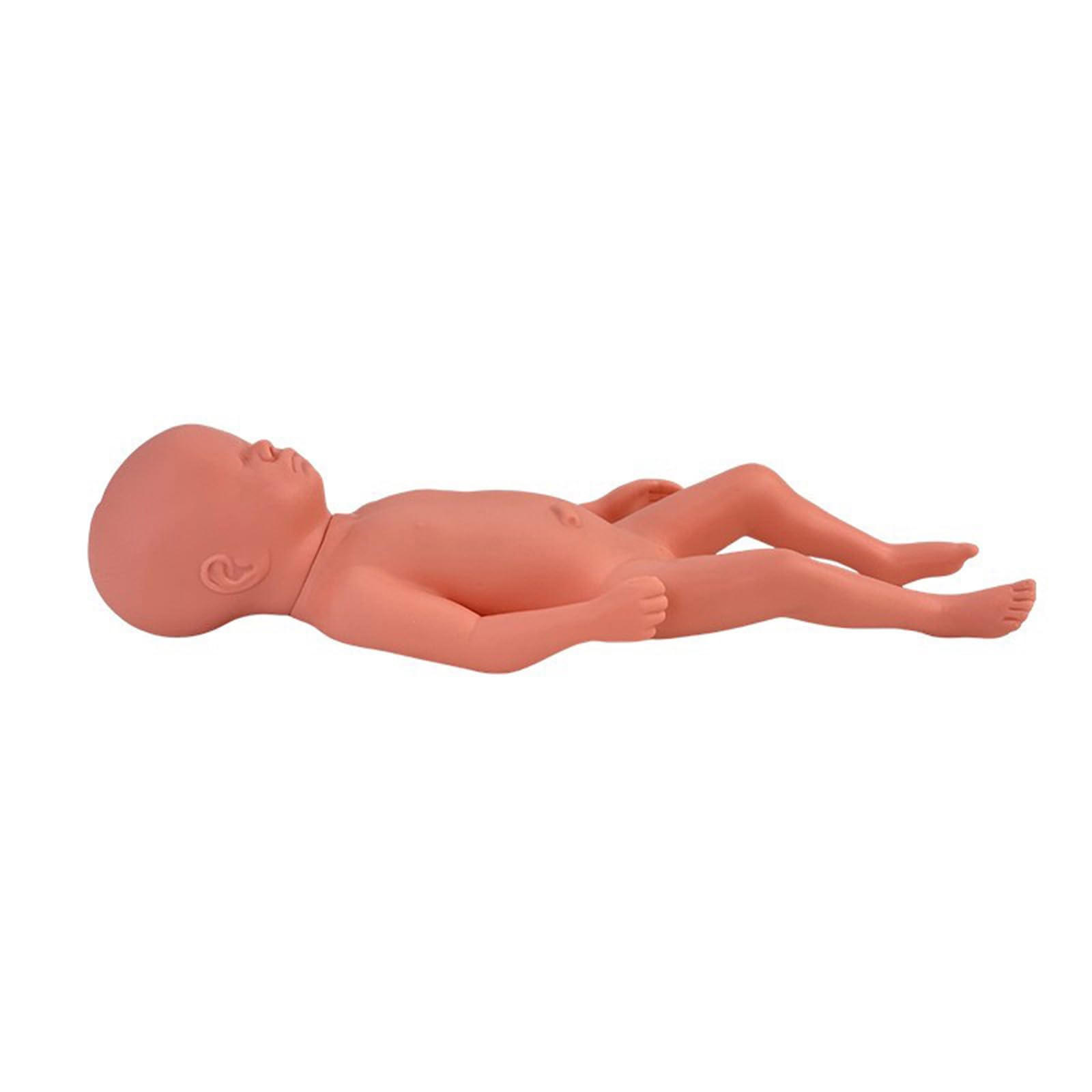 YRQMGSF Movable Female Pelvis Model Female Childbirth Model Midwifery Training Model for Obstetrics and Gynecology Pregnancy Demonstration Tool,A