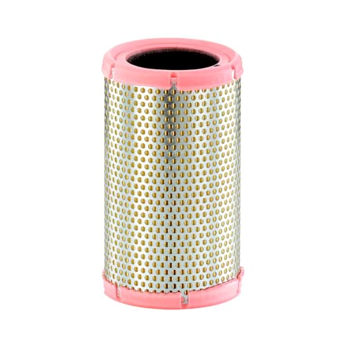 MANN-FILTER C 28 145 Filtro dell'aria - per Autovetture + veicoli commeriali