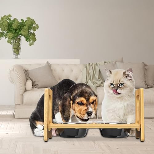 Support surélevé pour chien avec gamelles inclinées ergonomiques