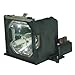 Sanyo PLC-HF10000 Assembly Lamp with Quality Projector Bulb Inside