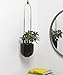 Umbra Bolo Hanging Planter Twin