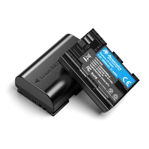 LP-E6NH High Capacity Batteries 2950mAh Compatible with Canon EOS R R5 R6 R6 Mark II R7 90D 80D 70D 60D 5D II 5D III 5D IV 5Ds 6D 6D II 7D 7D Mark II Cameras