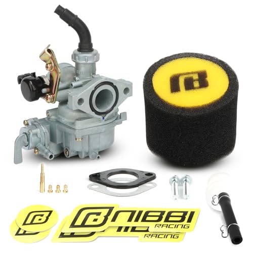 NIBBI PZ19 Carburetor with 35mm Air Filter for 50cc 70cc 90cc 110cc 125cc Tao Tao SSR Apollo Coolster Dirt Pit Bike ATV Scooter Go Karts Chinese Quad 4 Wheeler Parts