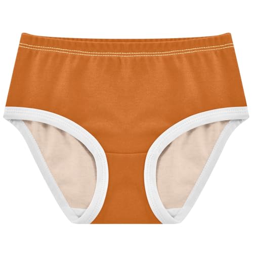 Joisal Burnt Orange Girl Panties Cute Girls Underwear Toddler Cotton Colorful Undies Kids Briefs 2t