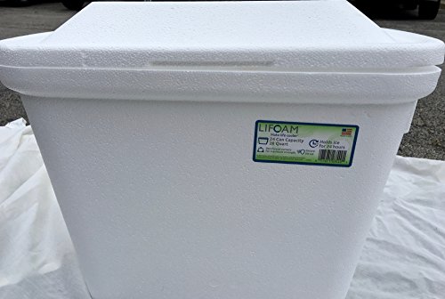 foam ice chest