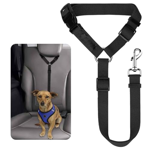 V[gxg p L V[gxg ybgV[gxg ԍڈSR wbhXgtELk ړ̖\h~Ot тh~ ȒP Lk ߉ Kps J[pi (ubN,45-60cm*45-75cm)